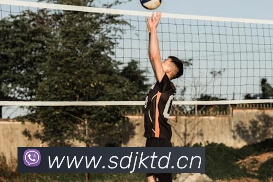 App Interface Preview